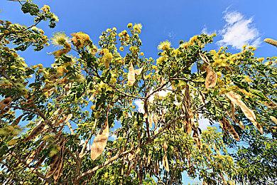 科隆：《家园3》首个实机预告 2023上半年发售