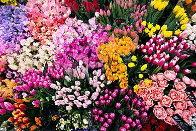 《汪汪队立大功》改编赛车游戏9月登陆全平台